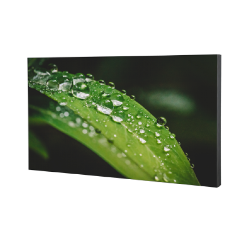 DAHUA DHI-LS460UDM-UF Монитор