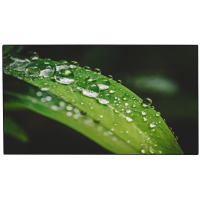 DAHUA DHI-LS490UCM-UF-1 Монитор